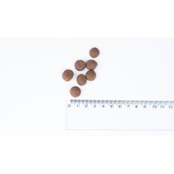 BULT 1kg Sucha karma dla psa z indykiem dla dorosłych psów Premium 1kg