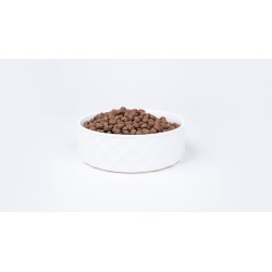 BULT 1kg Sucha karma dla psa z indykiem dla dorosłych psów Premium 1kg