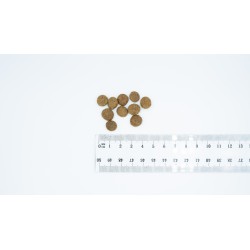 BULT 1kg Sucha karma dla psa z jagnięciną dla małych ras premium 1kg