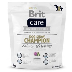 BRIT CARE DOG SHOW CHAMPION...